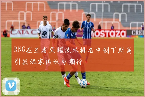 RNG在王者荣耀技术排名中创下新高引发玩家热议与期待
