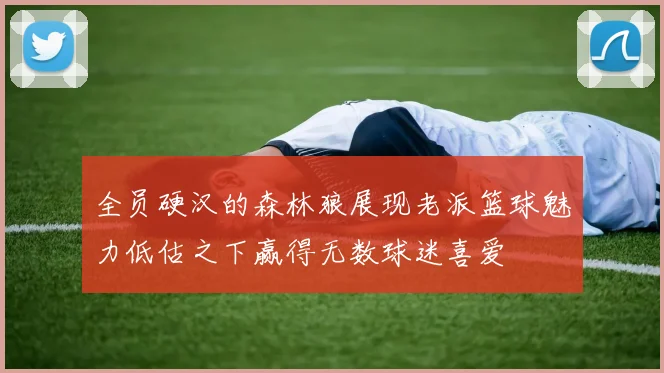 全员硬汉的森林狼展现老派篮球魅力低估之下赢得无数球迷喜爱